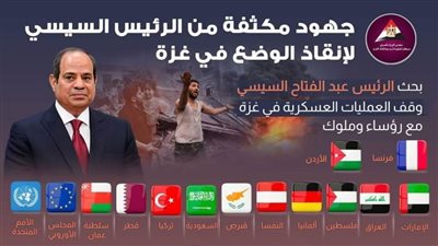 عاجل| بالانفوجراف.. جهود مكثفة من الرئيس السيسي لإنقاذ الوضع في غزة