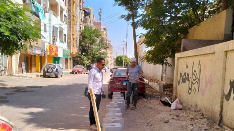 تجميل شوارع بنى سويف