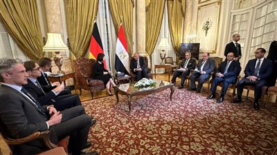 شكري لنظيرته الألمانية يجدد رفض مصر للدعوات الإسرائيلية لمواطني غزة للانتقال إلى الجنوب
