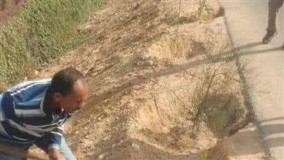 ضمن مبادرة 100 مليون شجرة.. زراعة 87 شجرة مثمرة بمطاي