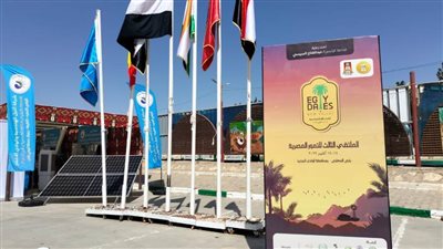 بالصور.. ندوات وورش عمل في اليوم الثاني للملتقى التسويقي للتمور بالوادي الجديد