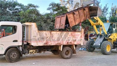 استمرار أعمال حملات النظافة اليومية بمركزي بلطيم ودسوق بكفر الشيخ