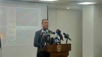السفير الفلسطيني: مصر تبذل جهودًا كبيرة لوقف العدوان الإسرائيلي