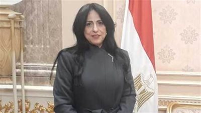 ميرال الهريدي: بيان مجلس النواب بشأن القضية الفلسطينية تاريخي ويعبر عن دعم الشعب المصري لأشقائه