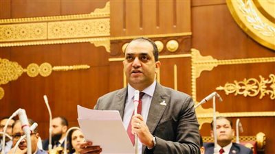 النائب محمد الدابى: مصر أكبر دولة داعمة للقضية الفلسطينية..وأمن مصر القومي خط أحمر