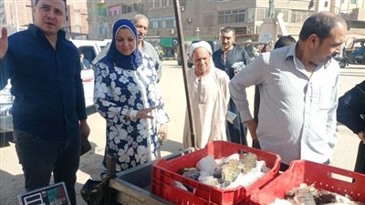 ضمن محاربة الغلاء بسوهاج.. وحدة طما توفر الأسماك بـ٣٥ إلى ٤٥ جنيهًا
