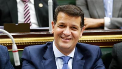 رئيس حقوق الإنسان بالنواب يثمن دعوة الرئيس لعقد قمة دولية حول 