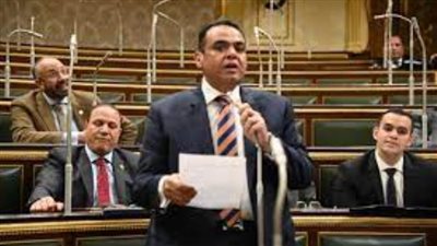 النائب نادر الخبيري: توجيهات السيسي بتنفيذ مشروعات قناة السويس تستهدف تعظيم قدراتها