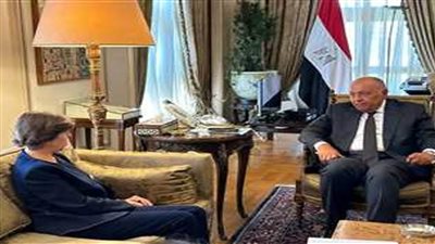 وزيرة الخارجية الفرنسية عن الأوضاع في غزة: يجب احترام القانون الدولي الذي ينص على حماية المدنيين