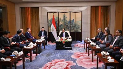 رئيس الوزراء يلتقي رئيس شركة 