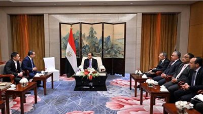 مدبولي يلتقي رئيس شركة 