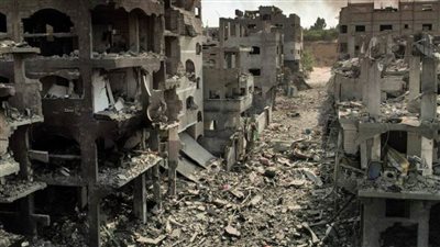 مقررة أممية تطالب بوقف فوري لإطلاق النار في غزة وإيصال المساعدات الإنسانية للقطاع