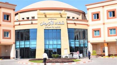 ماراثون خيري بألمانيا لصالح مرضي السرطان في الصعيد