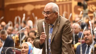 برلماني: دعوة الرئيس السيسي لقمة السلام بالقاهرة يعكس الدور البارز للدولة المصرية في دعم القضية الفلسطينية