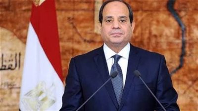 عاجل.. الرئيس السيسي يدين القصف المتعمد لمستشفى 