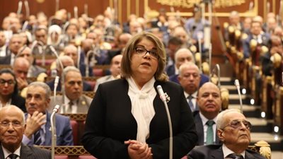 وكيلة مجلس الشيوخ: نقف صفا واحدا خلف الرئيس السيسي في الدفاع عن تراب الوطن وعدم المساس بأمن مصر