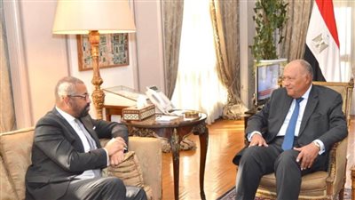 شكري يؤكد لنظيره البريطاني ضرورة وقف الحرب الدائرة في غزة والإنفاذ الفوري للمساعدات