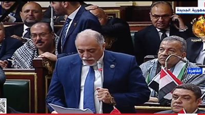عاجل.. بالعلم والكوفية الفلسطينية يحتشد أعضاء مجلس النواب المصري في الجلسة الطارئة
