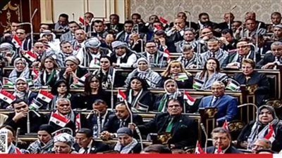 نواب الشعب: نؤيد قرارات القيادة السياسة لحماية الأمن القومي المصري وندعم صمود الشعب الفلسطيني 