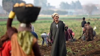 نقيب الفلاحين: 50 مليون فلاح رهن إشارة السيسي بعد فضحه مخطط إسرائيل 