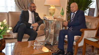   أبو الغيط : ضرورة الضغط على إسرائيل لوقف الأعمال الإجرامية التي تمارسها في حق المدنيين في قطاع غزة