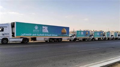 عاجل.. عشرات شاحنات الإغاثة الانسانية تستعد أمام معبر رفح للدخول إلى غزة 