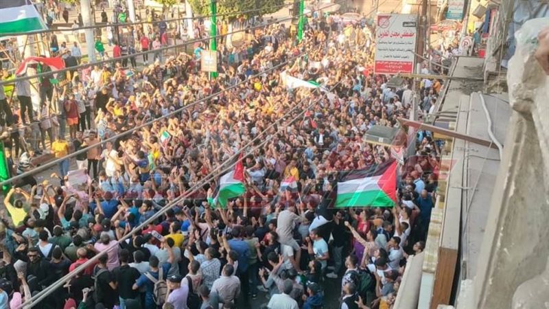 المنيا تأييد إجراءات