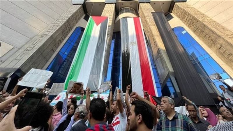 بوابة روز اليوسف