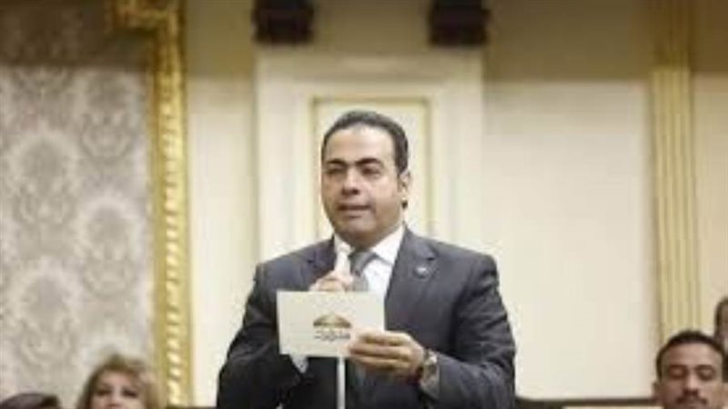 النائب د محمود حسين