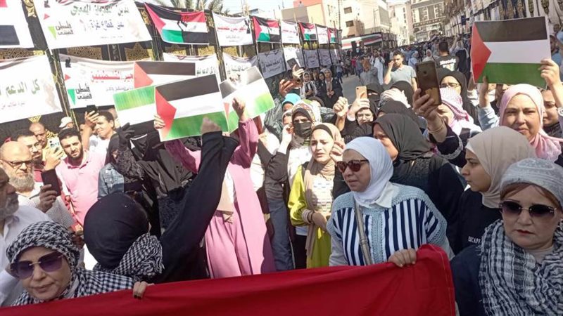 مظاهرات المنوفية