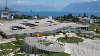 اكتشاف علمي يفتح آفاقًا لتجديد وإعادة نمو الأطراف المبتورة