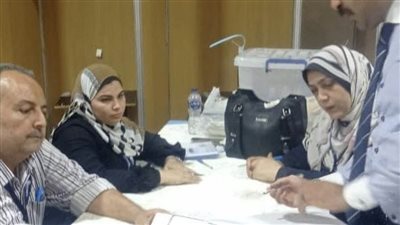 مؤشرات أولية.. تقدم قائمة حسين لبيب ومنافسة على مقعد النائب