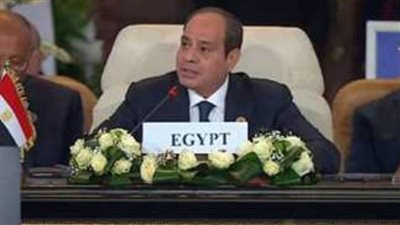 حماة الوطن: السيسي في قمة القاهرة للسلام وضع العالم أمام مسؤولياته لحل الأزمة الفلسطينية