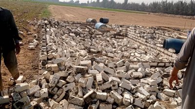 إزالة 25 حالة تعدٍ على الاراضى الزراعية وأملاك الدولة بالبحيرة