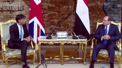 عاجل.. الرئيس عبدالفتاح السيسي يؤكد ضرورة استمرار تدفق المساعدات الطبية والإنسانية إلى غزة