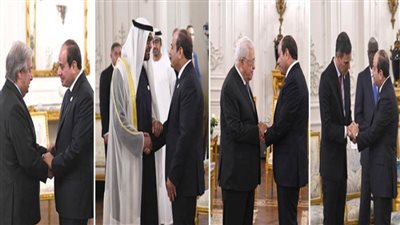 عاجل| بالفيديو..الرئيس السيسي يعقد عدة لقاءات على هامش أعمال قمة القاهرة للسلام 