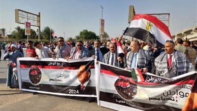 حملة مواطن تشيد بموقف السيسي الداعم للقضية الفلسطينية