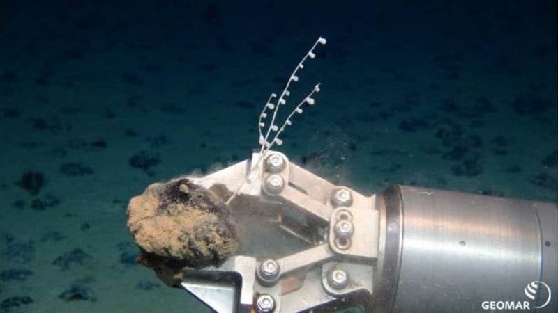 العقيدات المتعددة