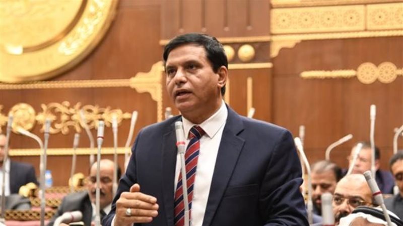 النائب اللواء طارق