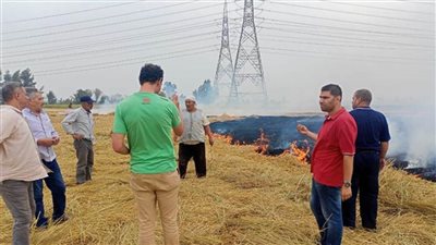 ١٨٠٠ جنيه عائد الفدان من قش الأرز.. وغرامة مالية وعقوبة حبس للحرق