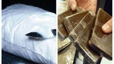  ضبط 4 عناصر إجرامية بالدقهلية بحوزتهم مخدري الهيروين والحشيش