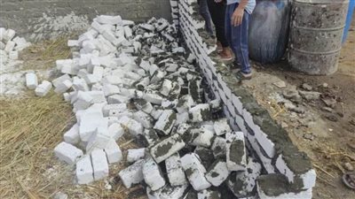 إزالة 31 حالة تعدٍ على الأراضي الزراعية وأملاك الدولة بالبحيرة