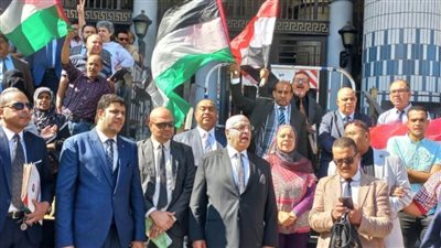 وقفة احتجاجية لمحامي الإسكندرية ضد العدوان الإسرائيلي على غزة