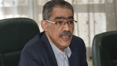 رشوان: مصر متمسكة بضرورة وقف إطلاق النار وتدشين مفاوضات سلام بين الفلسطينيين والإسرائيليين