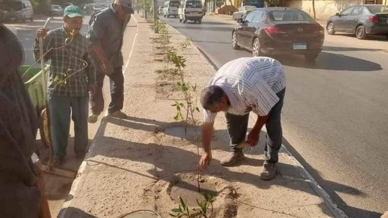 زراعة أشجار مثمرة