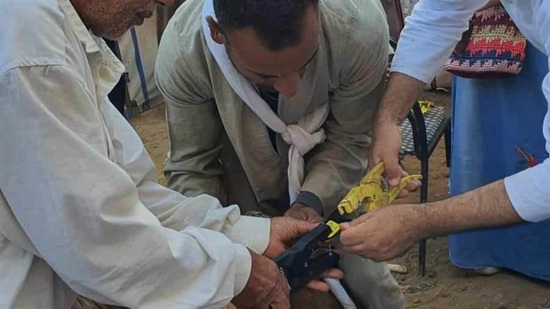 برنامج فرصة