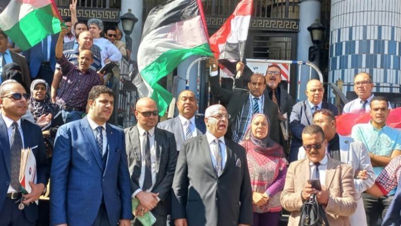 وقفه احتجاجية لمحامين