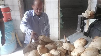تموين المنيا.. ضبط 68 مخالفة متنوعة خلال حملات على المخابز البلدية والأسواق