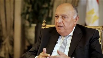 وزير الخارجية: ندعو لوقف فوري ومستدام لإطلاق النار في غزة