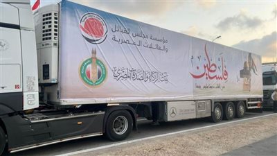 عاجل.. شيخ الأزهر يوجه بتسيير قافلة إلى غزة من 18 شاحنة محملة بالأدوية والمواد الغذائية والإغاثية